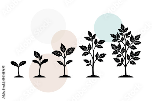 Vector set of maturing foliage and bushy plant development phases. Detailed leaf patterns and stem structures for horticultural projects and nature themes vector illustration design.