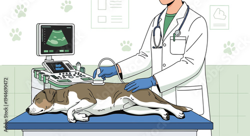Veterinarian Performing Ultrasound on Dog for Diagnosis and Treatment