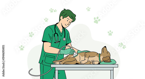 Veterinarian Performing Ultrasound on Dog on Examination Table, Veterinary Clinic Scene
