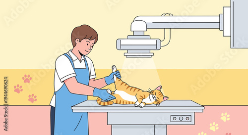 Veterinarian Performing X-ray on Orange Tabby Cat at Animal Clinic