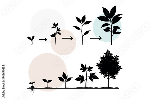 Vector set of vertical plant development and bushy tree evolution. Minimalist sprout to mature canopy transitions for ecological and growth visuals vector illustration design.