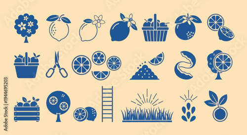 Citrus Fruit Harvest Icons: Lemon Tree, Oranges, Slices, Basket, Ladder, Sunrise