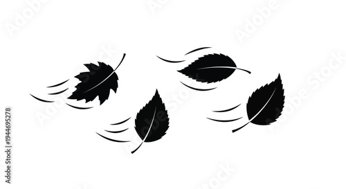 Falling leaves gracefully drift in the wind a striking silhouette