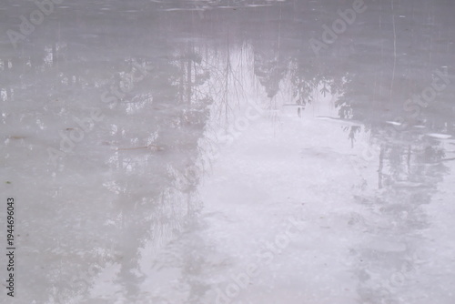 Bilde på lerret Abstract tree reflections on wet ice in misty and foggy spring weather