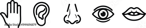 Five senses icons, human perception symbols, touch ear nose eye lips, black white outline illustration, sensory organs concept, minimal vector design