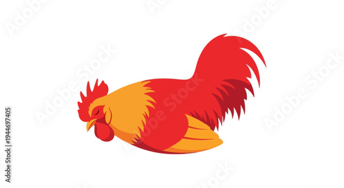 Rooster Illustration - Red and Yellow Bird on White Background