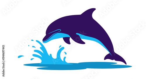 Dolphin leaping from blue water splash, isolated on white background, marine mammal illustration