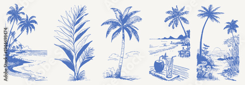 Palm coastline mountains sunset ocean botanical set. Hand drawn crayon vintage sketch drawing line art. Exotic plants, sandy shore and tropical landscapes for summer travel backgrounds.