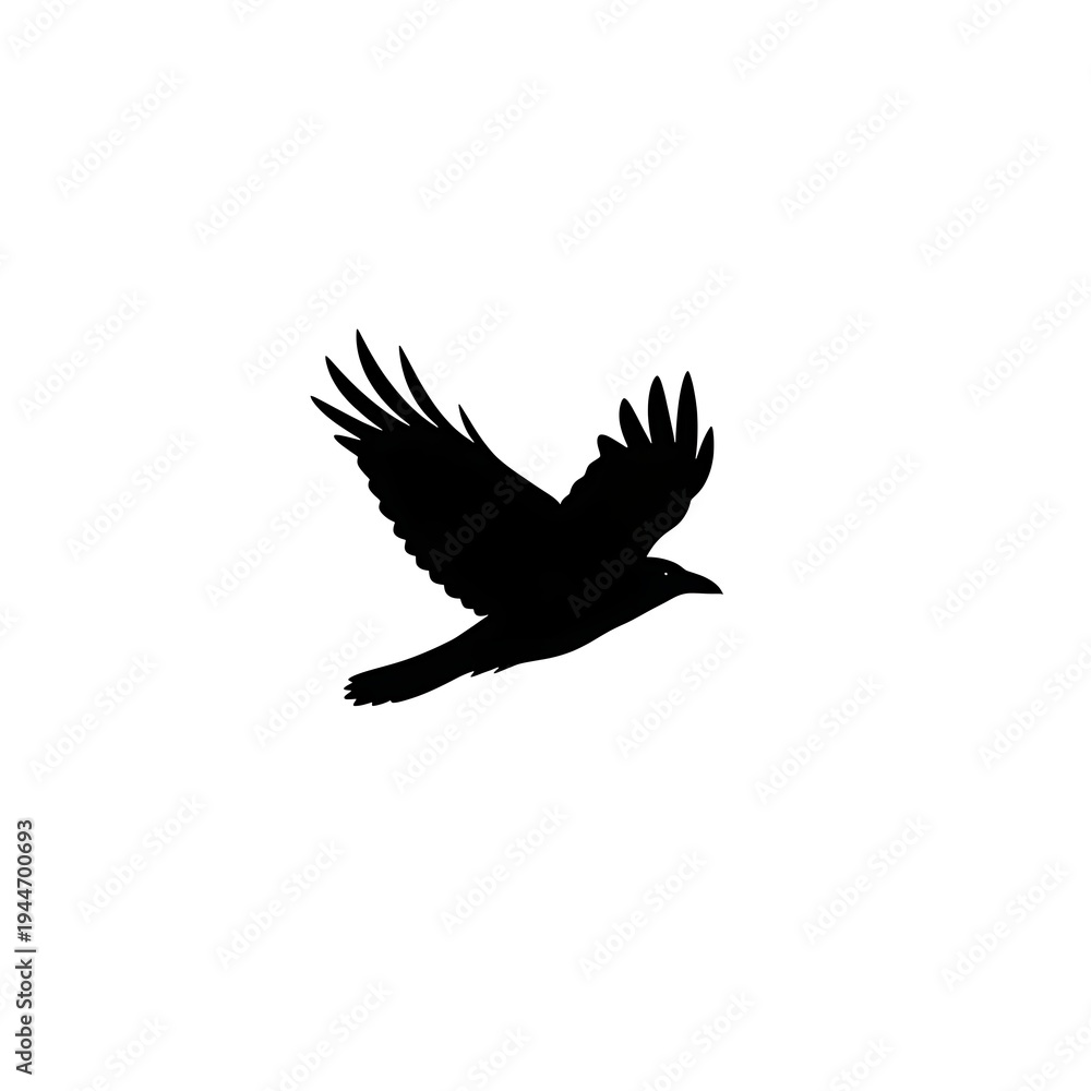 Obraz premium Black silhouette of flying bird.