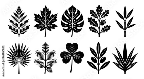 A collection of black silhouettes featuring various tropical leaves and plants on a white background, ideal for use in design projects, presentations, and educational materials.