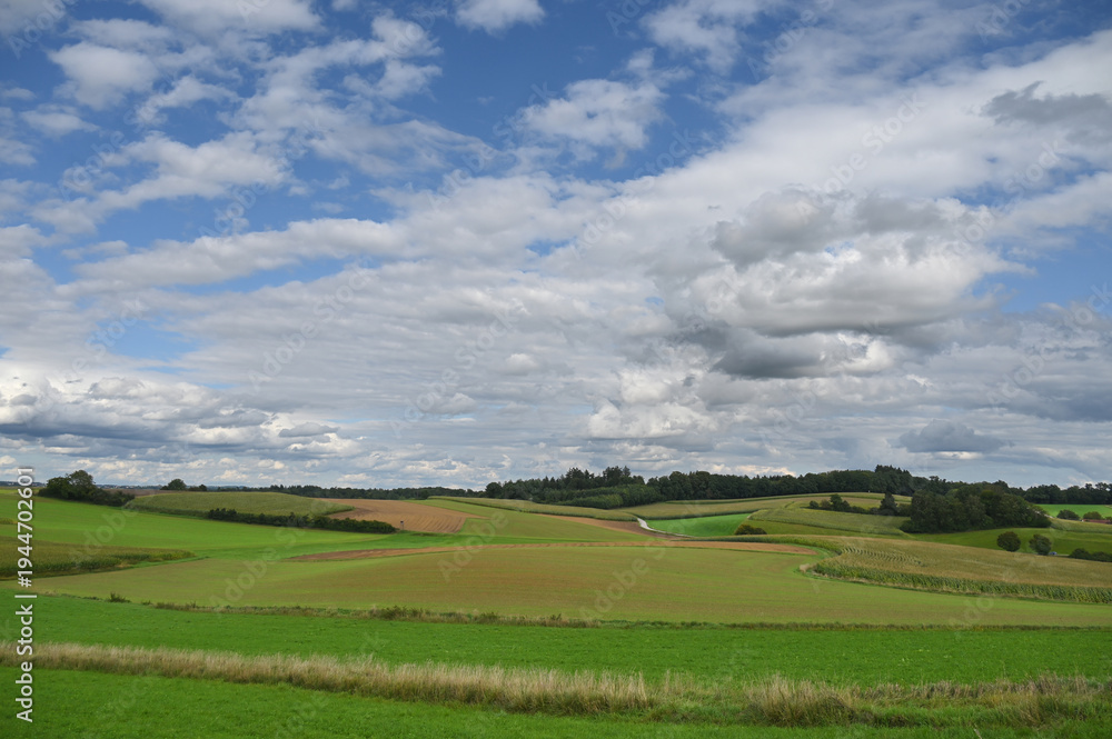 Fototapeta premium Landschaft, Feldlandschaft, Herbst