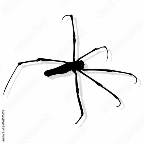 Minimalist spider silhouette vector illustration isolated on a white background. This simple arachnid shadow shape is perfect for Halloween designs, nature themes, wildlife icons, and graphic elements