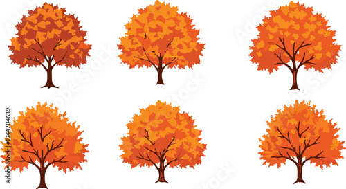 Collection of orange autumn trees set isolated on white background, fall season foliage nature elements, colorful flat vector illustration