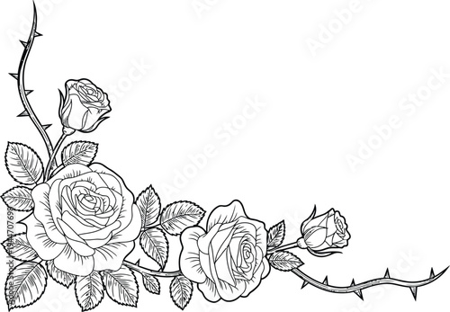 Rose corner floral border line art, detailed black and white outline illustration of decorative roses leaves and thorn branches for elegant frame design.