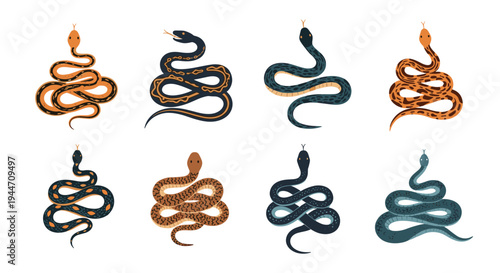 Eight various snakes in different colors and coiled poses are displayed as a collection on a white background.