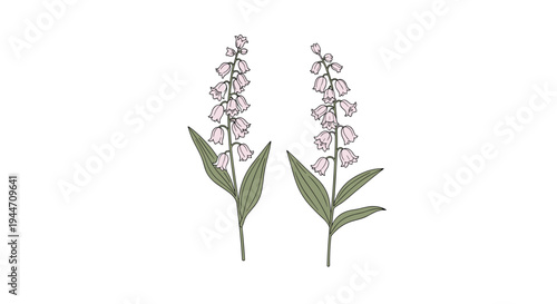 Pair of lily of the valley stems with small pink bell-shaped blossoms and large green leaves in a delicate hand-drawn style illustration.