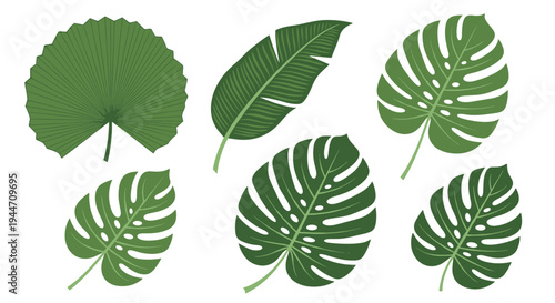 Set of various tropical green leaves including palm and monstera varieties, perfect for botanical themes and summer decoration projects.