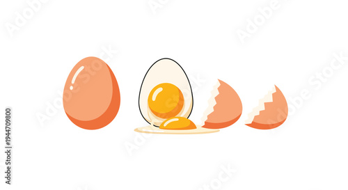 Comprehensive egg illustration showing a whole brown egg along with a sliced boiled egg revealing a bright yolk and cracked shell pieces.