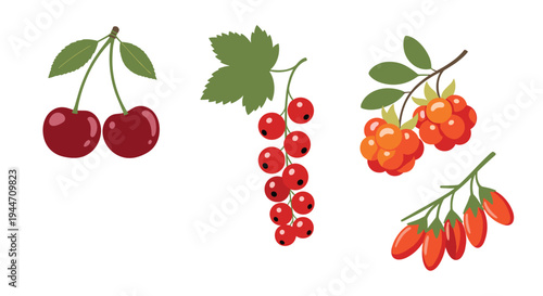 Selection of fresh berries including ripe cherries vibrant red currants orange cloudberries and healthy goji berries on a plain background.