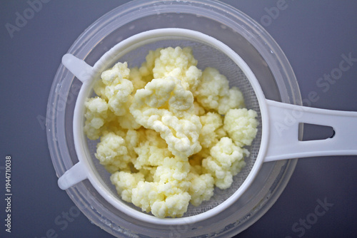 Konstfotografi Milk kefir and kefir grains