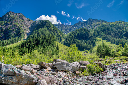 scenic mountain landscape in habachtal valley with stream and green forest in salzburg alps austria