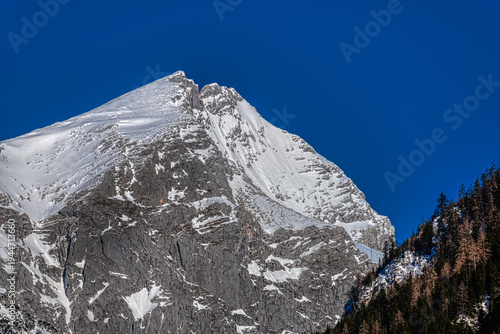 Majestic snow capped mountain peak in the european alps under a clear deep blue sky with a pine forest border in the foreground