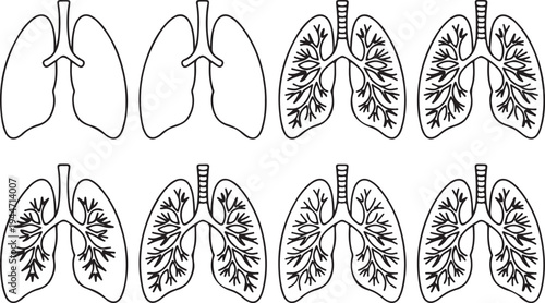 Detailed human lung outlines with internal bronchial structures for medical and educational purposes