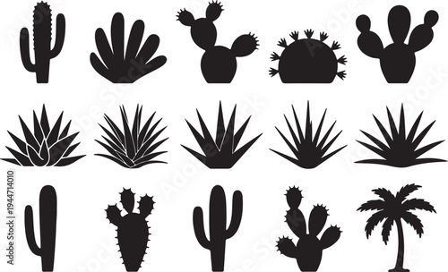 Diverse collection of desert plants featuring various cactus and succulent flora silhouettes