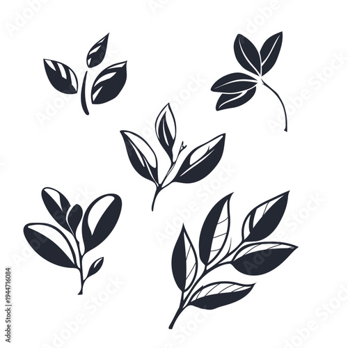 Hand drawn set of tea leaves and plant branches. Minimalist black ink floral elements, organic leaf silhouettes, botanical vector sketches for eco logo, organic packaging and natural branding design.