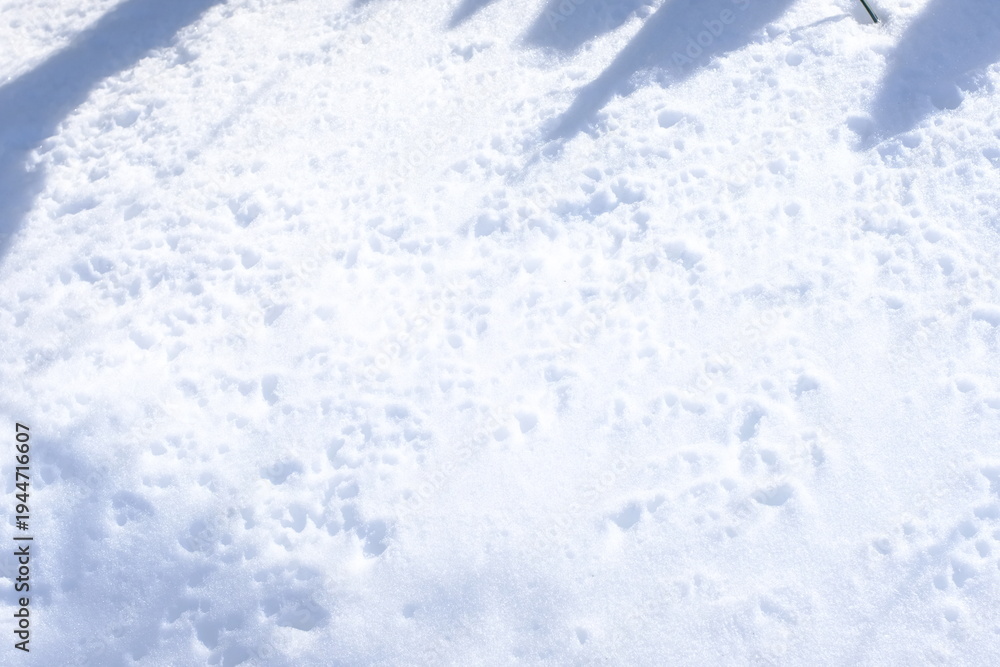 Obraz premium snow in the snow