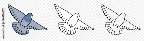 Pigeon, dove, bird and animal, graphic design. Avian, wildlife and nature, vector design and illustration