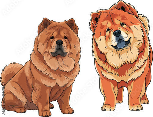 Chow Chow dog standing tilting head curious sitting pose set