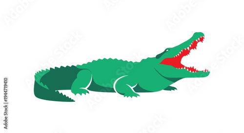 Green alligator with open mouth and sharp teeth, illustration, white background