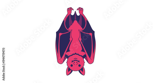 Hanging Bat Illustration