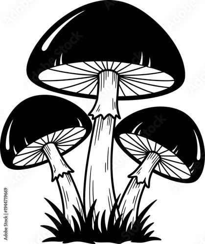 Three black and white mushrooms in a grassy field illustration