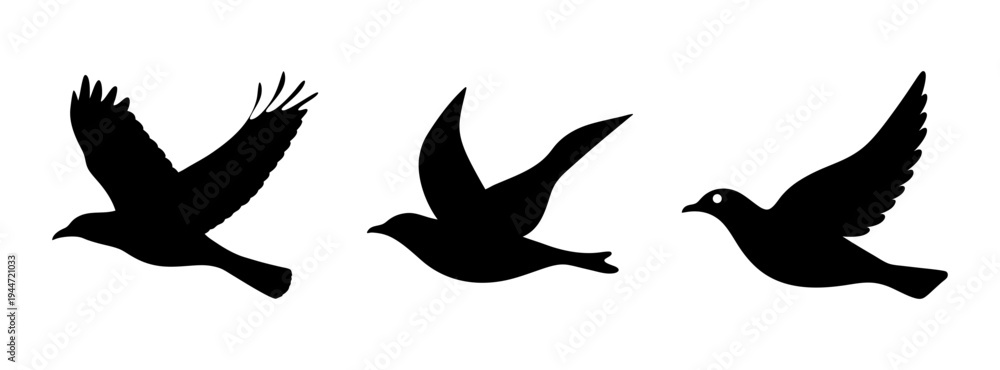 Obraz premium Three birds silhouettes flying vector illustration for freedom peace and nature designs vector art