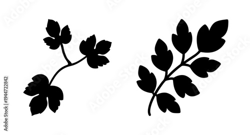 Black silhouette leaves vector design elements for nature botanical illustration and art projects