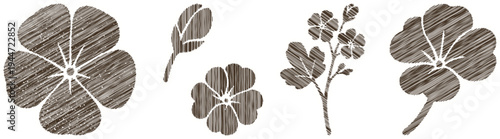 Brown floral elements, textured flowers and leaves, graphic design assets