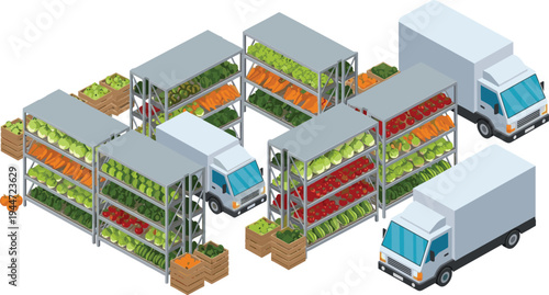Isometric vegetable warehouse distribution with delivery trucks, fresh produce shelves, supply chain logistics, grocery storage and transportation vector illustration