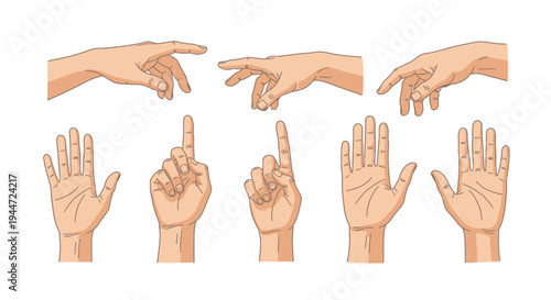 Illustrated hand gestures showing various poses in a clean white background