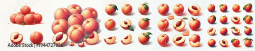 Peach Fruit Vector Illustration Collection