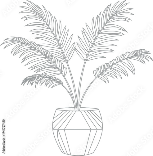 A detailed black and white line art illustration of a beautiful parlor palm plant in a modern geometric pot, perfect for interior design concepts and botanical themes.