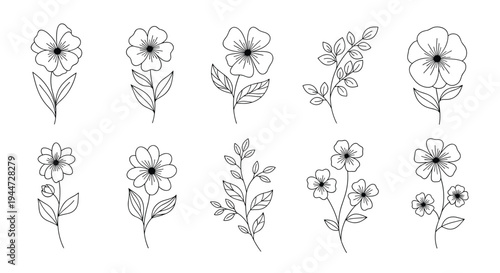Collection of ten elegant black and white line art floral illustrations featuring various blossoms and leaf branches.