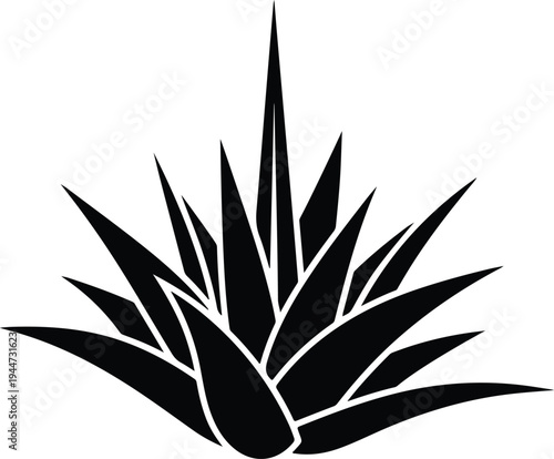 Silhouette desert agave plant with sharp spiky leaves vector illustration