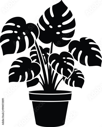 Silhouette monstera deliciosa plant in a ceramic pot vector illustration