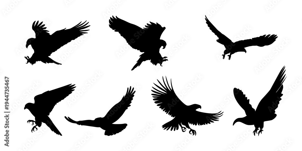 Obraz premium Flying Eagle Silhouette Collection Bird Vector Set