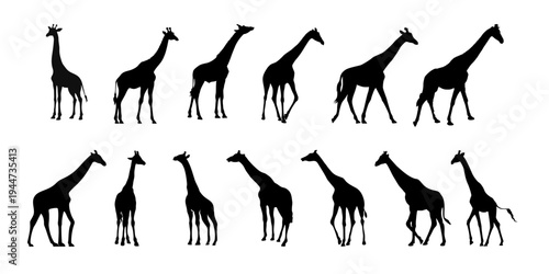 Giraffe Silhouette Collection Safari Animal Vector Set