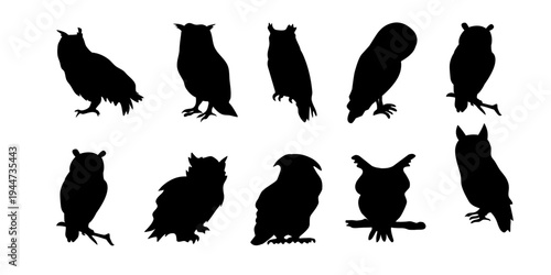 Owl Silhouette Set Night Bird Wildlife Vector Collection