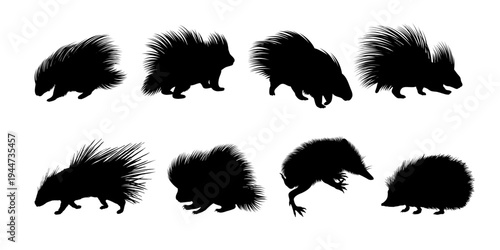 Porcupine Silhouette Collection Wild Animal Vector Set