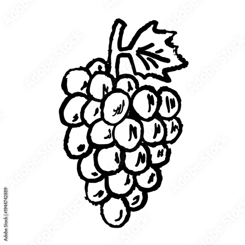 Grapes doodle, hand drawn grape bunch sketch with leaf, simple fruit line art. Grapes vintage ink drawing, rustic vineyard berry cluster organic food symbol.